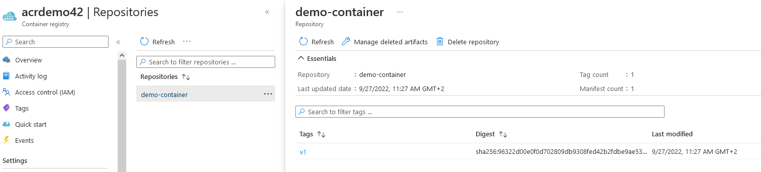 Information about the demo-container from the Repositories view