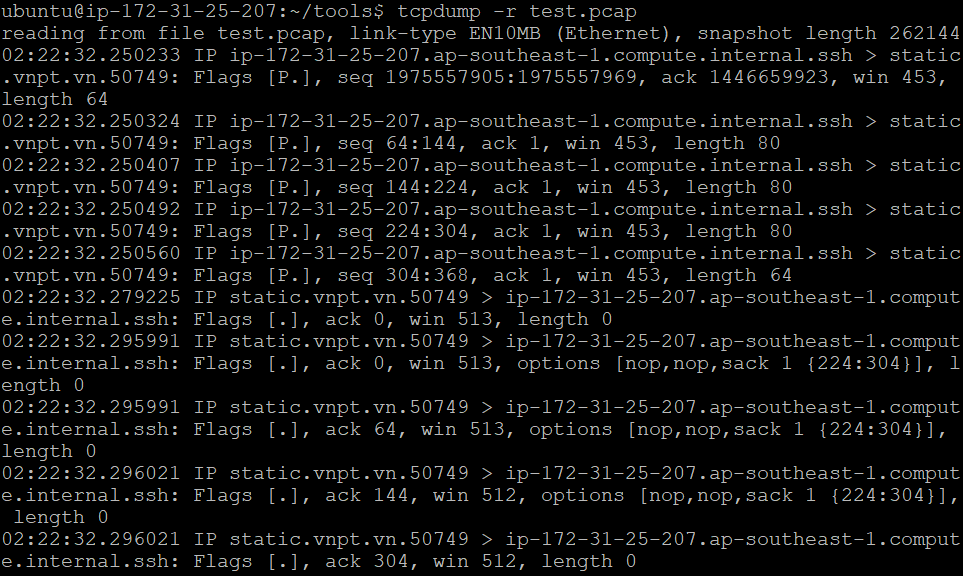 Fig. 3: Read network packets data from the test.pcap file using tcpdump