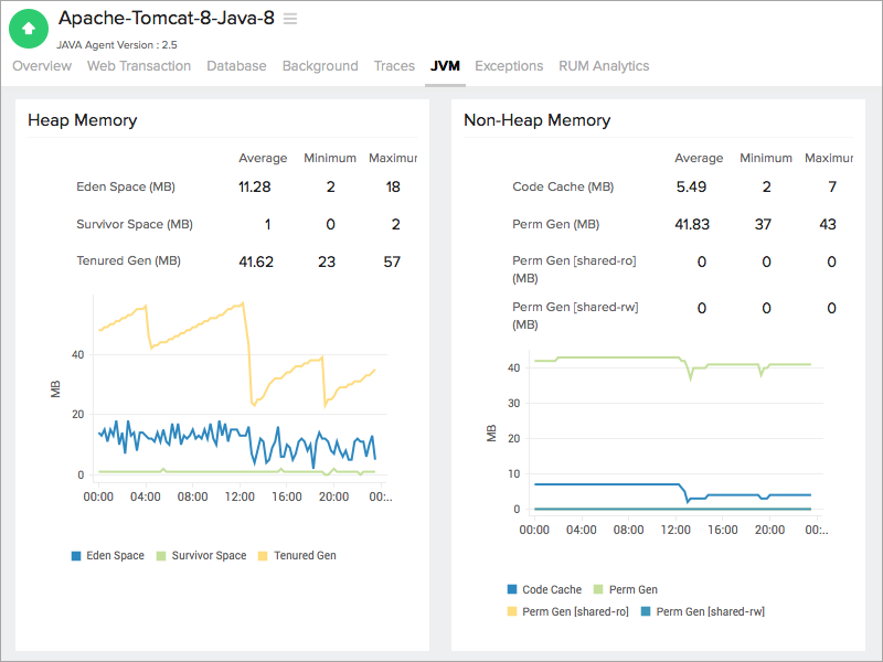  JVM Tab