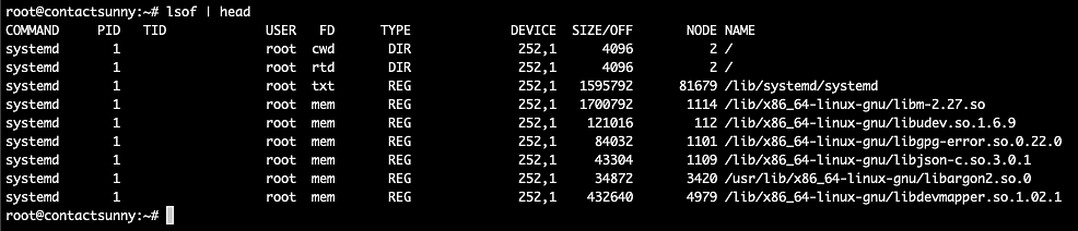 lsof output