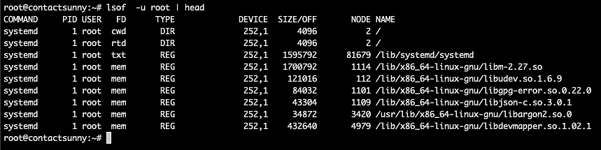 lsof with user filter