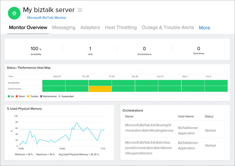  BizTalk Monitor Overview