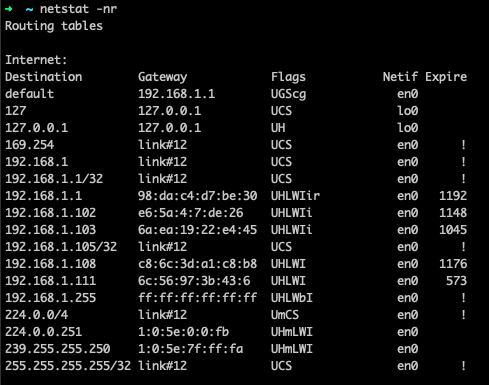 saída netstat -nr