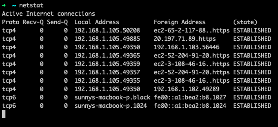 netstat output