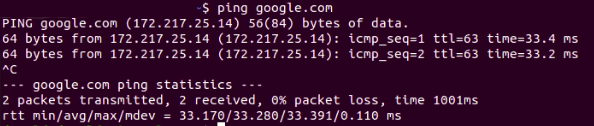 Fig. 10: Able to ping google.com